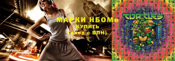 прущий лед Бородино