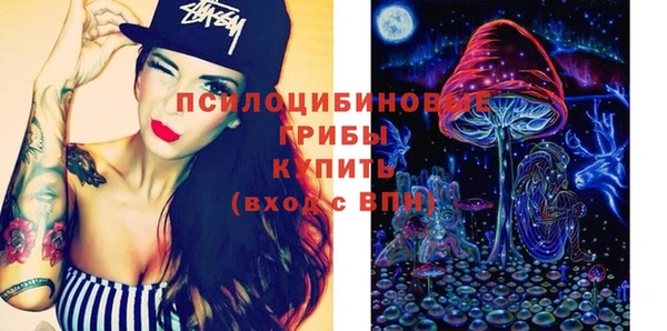 прущий лед Бородино