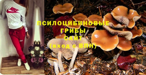 mdma Богородицк