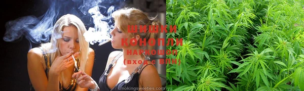 прущий лед Бородино