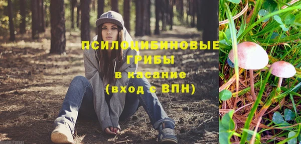 круглые Богданович